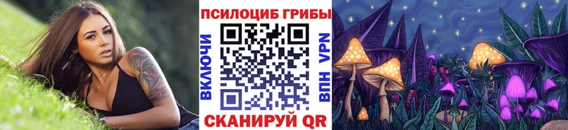 купить наркоту Переславль-Залесский Псилоцибиновые грибы MAGIC MUSHROOMS