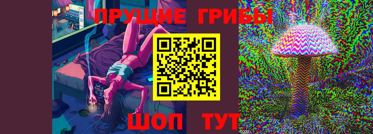 Переславль-Залесский  Псилоцибиновые грибы ЛСД  Вход с VPN 
