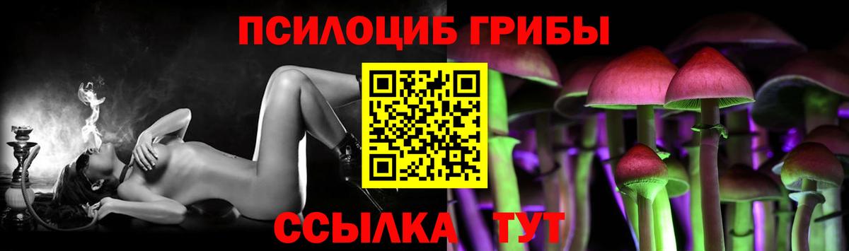Псилоцибиновые грибы прущие грибы  даркнет сайт  Переславль-Залесский 